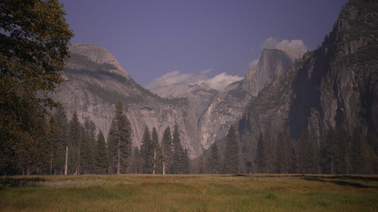 A serene image of Leidig Meadows, nestled amidst towering sequoia trees in Yosemite National Park. Sunlight filters through the dense forest canopy, casting dappled shadows on the lush meadow below. A gentle stream meanders through the landscape, reflecting the surrounding greenery. This tranquil scene captures the natural beauty and tranquility awaiting travelers on a 10-day California road trip itinerary, inviting exploration and appreciation of the pristine wilderness.