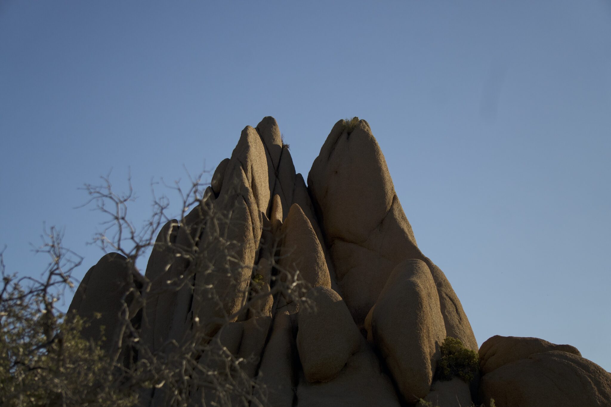 Skull Rock Trail and Joshua Tree