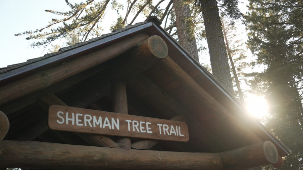 General Sherman Tree trailhead