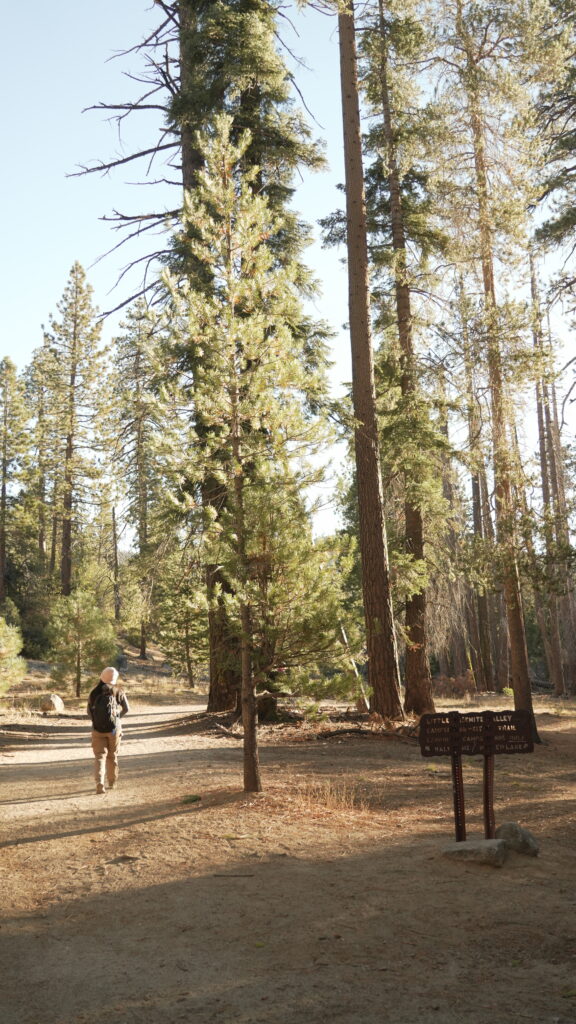 Hiking on the John Muir Trail