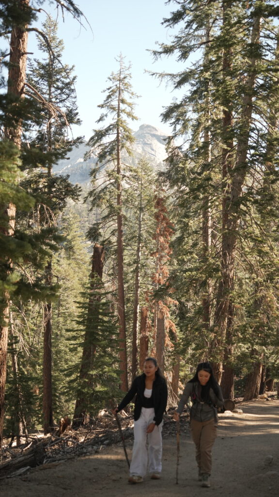 Hiking on the Half Dome trail