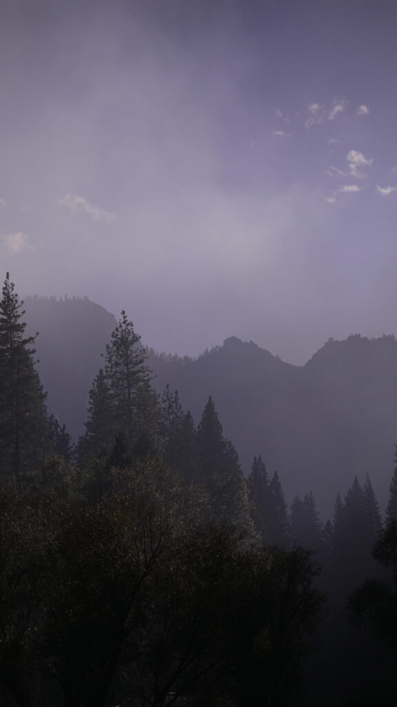 A moody scene in Yosemite National Park