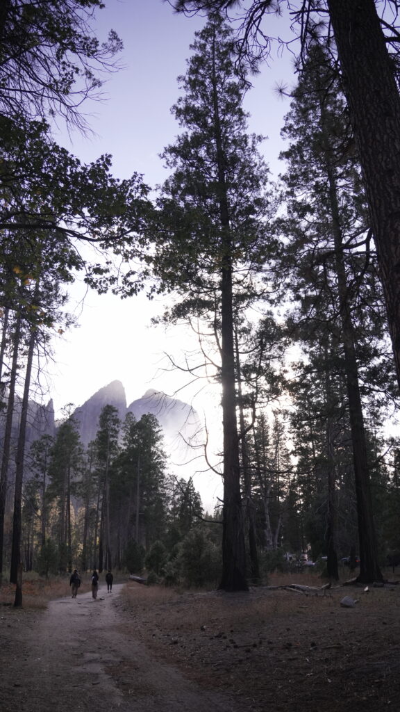 Three individuals walking along the Valley Loop Trail in Yosemite National Park