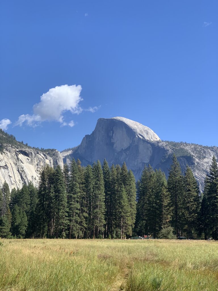 Half Dome seen from a distance at Leidig Meadow on a sunny day