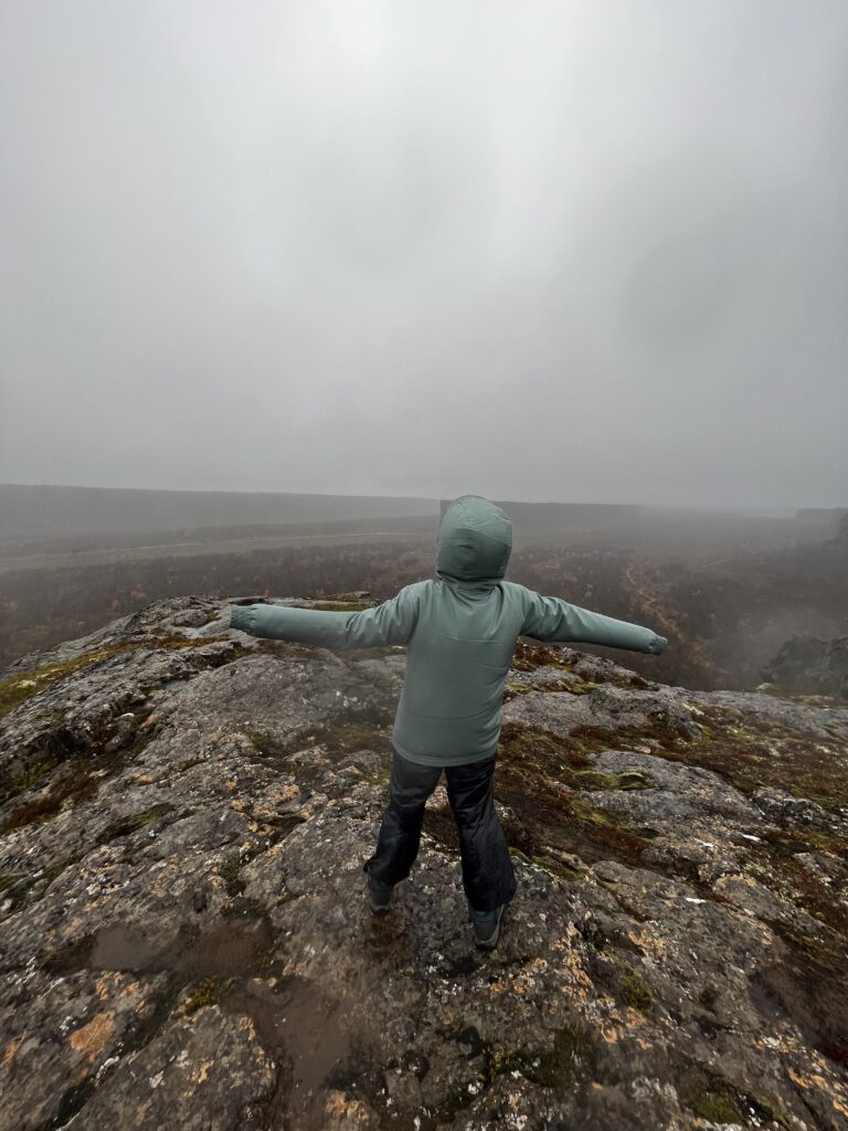 Blown by strong winds in Ásbyrgi canyon